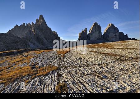 Tre Cime di Lavaredo e il Monte Paterno, Italia, Dolomiti, NP Dolomiti di Sesto Foto Stock