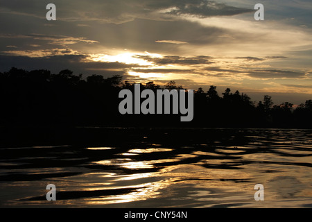 Tramonto su una riva del fiume Kinabatangan ricoperta da foresta pluviale tropicale, Malaysia Sabah, Sungai Kinabatangan, Borneo Foto Stock