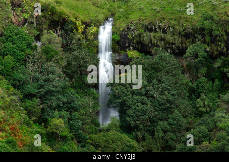 Cascata presso la montagna del fratello cruscotto (3.482 m) nel Drakensberg, Sud Africa, Kwa Zulu Natal, uKhahlamba-Drakensberg-Park , del fratello cruscotto Foto Stock