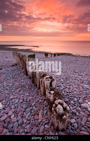 Legno stagionato le difese costiere su Bossington Beach, Parco Nazionale di Exmoor, Somerset, Inghilterra Foto Stock