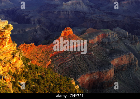 Sunrise a Yaki punto al margine meridionale del Gran Canyon, STATI UNITI D'AMERICA, Arizona Foto Stock