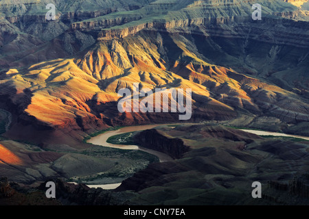 Vista da Lipan Point all'alba sopra il fiume Colorado al margine meridionale del Gran Canyon, STATI UNITI D'AMERICA, Arizona Foto Stock