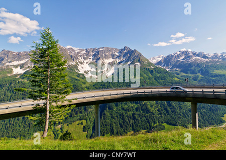 Mountain pass road al San Gottardo, Svizzera Foto Stock