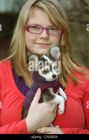 Chihuahua (Canis lupus f. familiaris), ragazza con giovani Chihuahua nelle mani Foto Stock