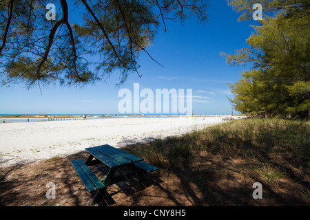 Tavolo da picnic sotto l'albero che si affaccia sulla spiaggia di Fort De Soto Park, Florida Foto Stock