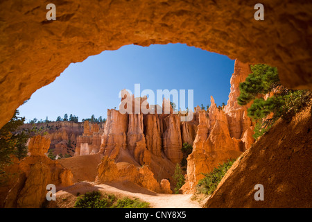 Vista attraverso la finestra di roccia a forma weirdly formazioni rocciose a Queens Garden Trail , USA Utah, Parco Nazionale di Bryce Canyon, Colorado Plateau Foto Stock