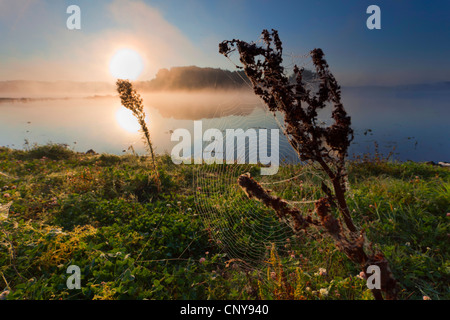 Collezione autunno la nebbia sul lago Poehl, in Germania, in Sassonia, Vogtland Foto Stock