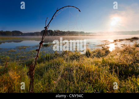 Collezione autunno la nebbia sul lago Poehl, in Germania, in Sassonia, Vogtland Foto Stock