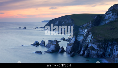 Il mare di ardesia di pile e scogliere vicino Westcombe Beach, South Devon, in Inghilterra. Febbraio 2009 Foto Stock