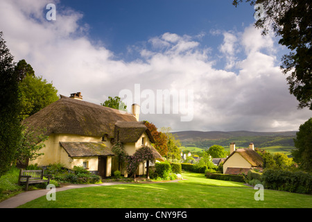 Cottage con il tetto di paglia nel pittoresco villaggio di Selworthy, Parco Nazionale di Exmoor, Somerset, Inghilterra. Molla (maggio) 2009 Foto Stock