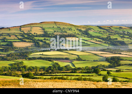 Un patchwork di campi e colline, Parco Nazionale di Brecon Beacons, Carmarthenshire, Wales, Regno Unito. Estate (Agosto) 2009 Foto Stock