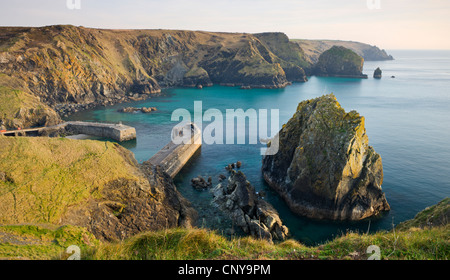 Mullion Cove e il porto dalla clifftops, Cornwall, Inghilterra. Molla (aprile 2010). Foto Stock