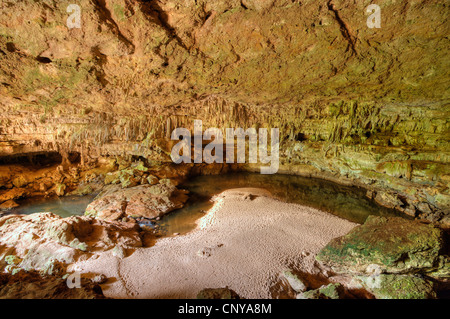 Rio Frio grotta, Belize Foto Stock