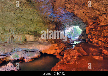 Rio Frio grotta, Belize Foto Stock