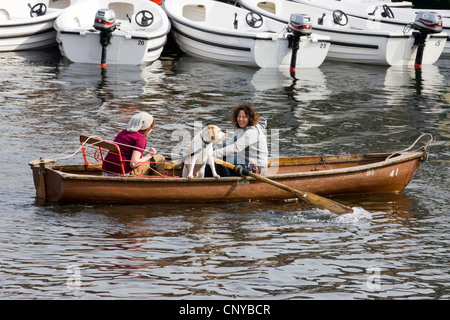 Due donne canottaggio con un cane beagle sul fiume Avon a Stratford Upon Avon Inghilterra Foto Stock