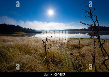 Mattina al lago Poehl, in Germania, in Sassonia, Vogtland Foto Stock