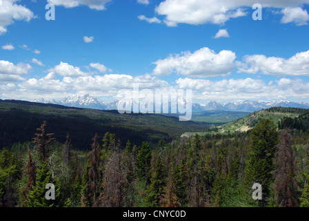 Grand Teton Range da strada per Togwotee Pass, Wyoming Foto Stock