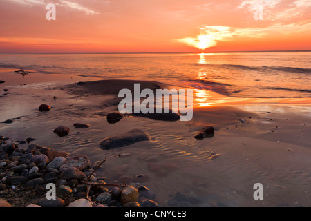 Mar Baltico in serata, Germania, Meclemburgo-Pomerania, Wustrow, Darss Foto Stock