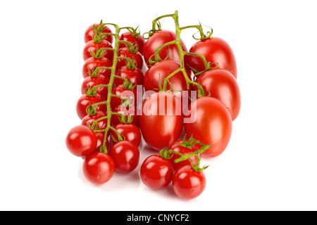 Pomodori ciliegia isolati su sfondo bianco Foto Stock