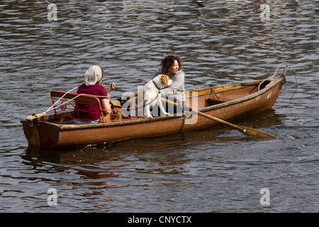 Due donne canottaggio con un cane beagle sul fiume Avon a Stratford Upon Avon Inghilterra Foto Stock