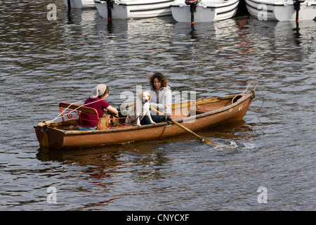 Due donne canottaggio con un cane beagle sul fiume Avon a Stratford Upon Avon Inghilterra Foto Stock