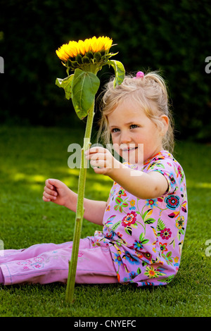 Comune di girasole (Helianthus annuus), poco ragazza seduta sul giardino prato con un fiore di Sun Foto Stock