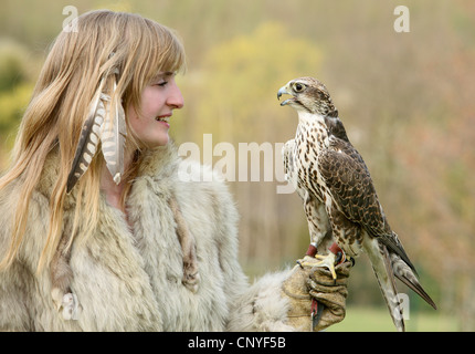 Saker falcon (Falco cherrug), sul braccio di una giovane donna Foto Stock