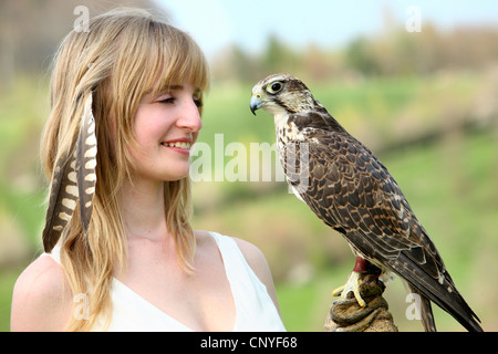 Saker falcon (Falco cherrug), sul braccio di una giovane donna Foto Stock