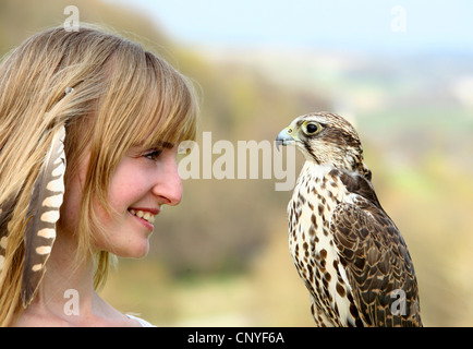 Saker falcon (Falco cherrug), sul braccio di una giovane donna Foto Stock