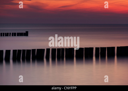 Tramonto al mare Baltico, Germania, Meclemburgo-Pomerania, Darss, Wustrow Foto Stock