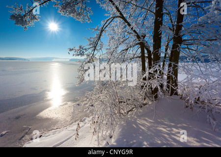 Invernale tramonto sul lago di storage Poehl, in Germania, in Sassonia, Vogtland Foto Stock