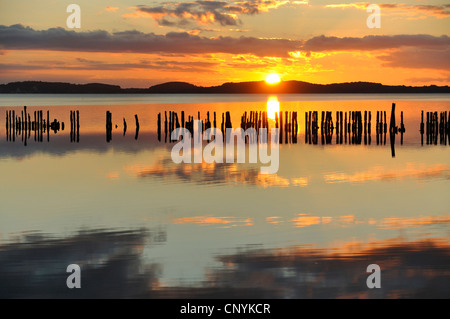 Sagome dei pilastri di legno in acqua nel tramonto, Germania, Meclemburgo-Pomerania Occidentale Foto Stock