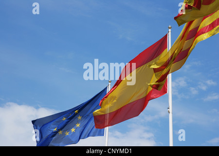 Bandiere catalano, dimostrazione Promozione della lingua catalana nelle  Isole Baleari, Palma di Maiorca, SPAGNA Foto stock - Alamy