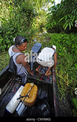 Guasto durante una gita in barca attraverso una foresta di mangrovie, Honduras, La Mosquitia, Las Marias Foto Stock