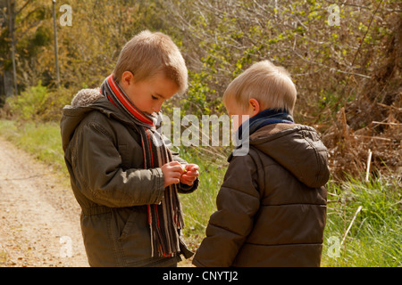 Fratelli guardando a foglia in campagna. Foto Stock