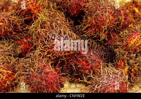 Rambutan (Nephelium lappaceum), la frutta in un mercato Foto Stock