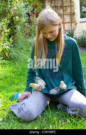 Galli e galline (Gallus gallus f. domestica), Ragazze giocare con gallina pulcini nel giardino, Germania Foto Stock