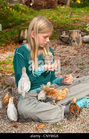 Galli e galline (Gallus gallus f. domestica), ragazza seduta con pulcini in un giardino, Germania Foto Stock