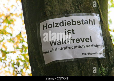 Segnale di avvertimento su albero trund " legno il furto sia un reato contro la foresta leggi", in Germania, in Renania settentrionale-Vestfalia Foto Stock