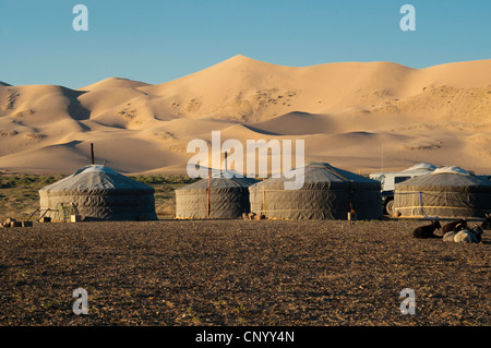 Gers nomade sotto le dune di sabbia di Khongoryn Els al tramonto nel deserto del Gobi della Mongolia