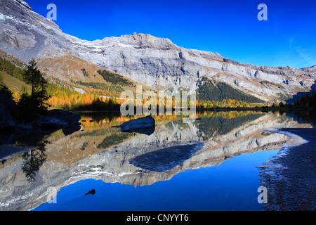 Lac de Derborence, Svizzera Vallese Foto Stock