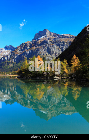 Lac de Derborence, Svizzera Vallese Foto Stock