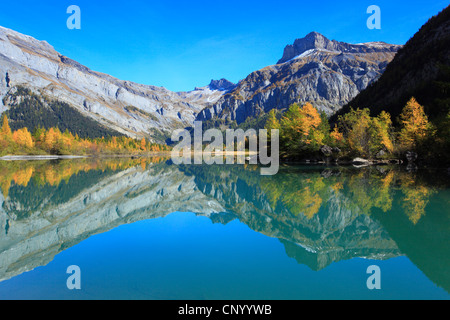 Lac de Derborence, Svizzera Vallese Foto Stock