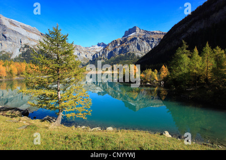 Lac de Derborence, Svizzera Vallese Foto Stock