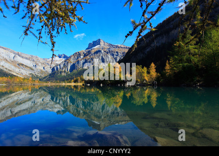 Lac de Derborence, Svizzera Vallese Foto Stock