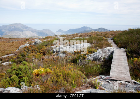 Percorso trakking su table mountain a Maclear's Faro, Sud Africa, Western Cape, Città del Capo Foto Stock