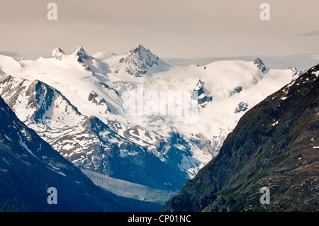 Bernina gamma della montagna dalla cima del Muottas Muragl vicino a San Moritz, Svizzera, Grigioni Foto Stock