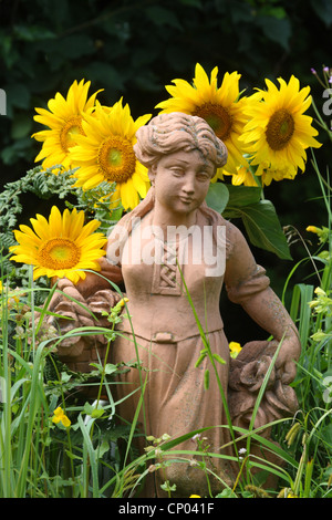 Comune di girasole (Helianthus annuus), giardino figura con girasoli, Germania Foto Stock