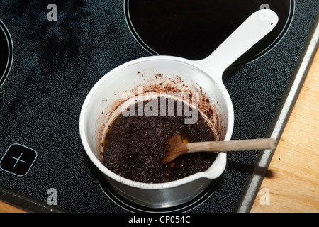 Comune di nocciolo (Corylus avellana), self-raccolti e nocciole macinate, cacao in polvere, burro e zucchero agitata in una pentola sul fornello per la produzione di cioccolato da spalmare, Germania Foto Stock