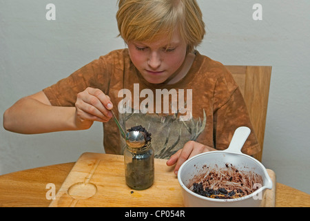 Comune di nocciolo (Corylus avellana), ragazzo mettendo cioccolata spalmabile che ha fatto di auto-raccolto di nocciole, polvere di cacao, il burro e lo zucchero in un bicchiere, Germania Foto Stock